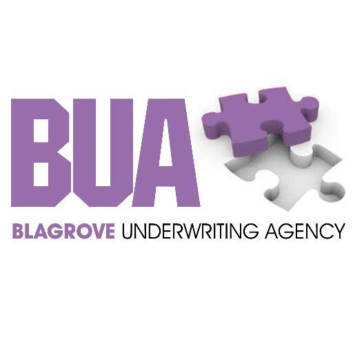 blagroveuw's profile picture. BUA is a “boutique” underwriting agency delivering a range of commercial products via an experienced regional team working with a select panel of brokers