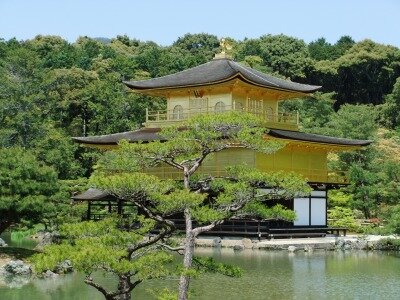 好きなことをつぶやくためのアカウント。発言はリアル社会の私の所属・立場等とは無関係です。 好きなもの:IT、ゲーム、人狼ゲーム、歴史、酒、株主優待、将棋、麻雀、競馬、野球