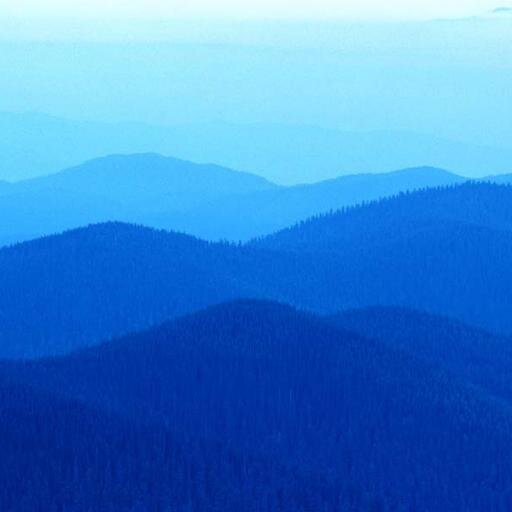 LeoWentao's profile picture. 