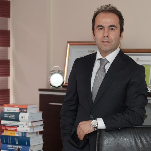 Mali Müşavir /Bağımsız Denetçi /İndependent auditors,financial advisor. Boryad iştişare kurulu Başkanı