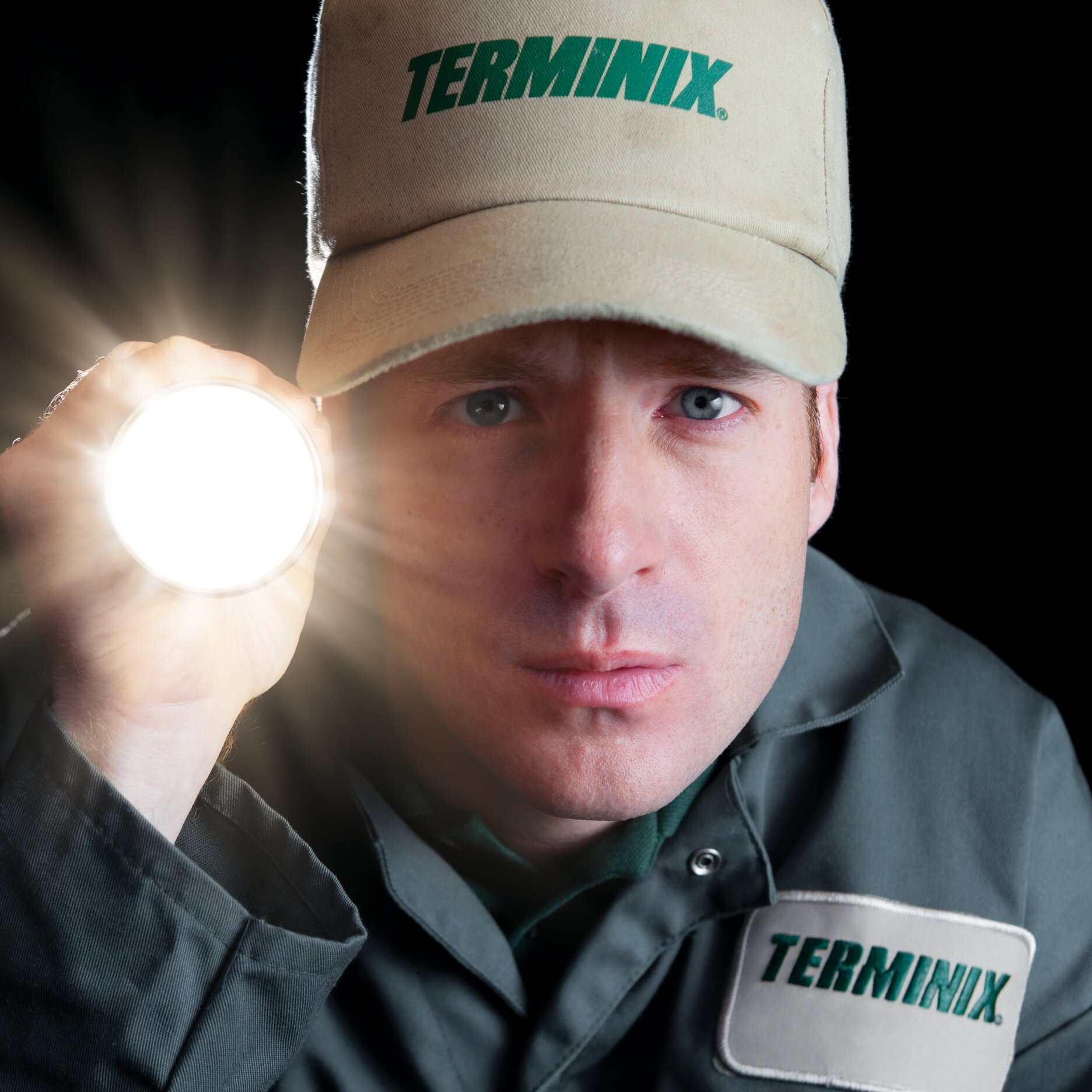 Terminix of NC protects Eastern NC and Southeastern VA homes and business from pests, termites, and moisture.