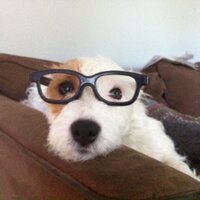 ruthcrafer (@ruthcrafer) 's Twitter Profile