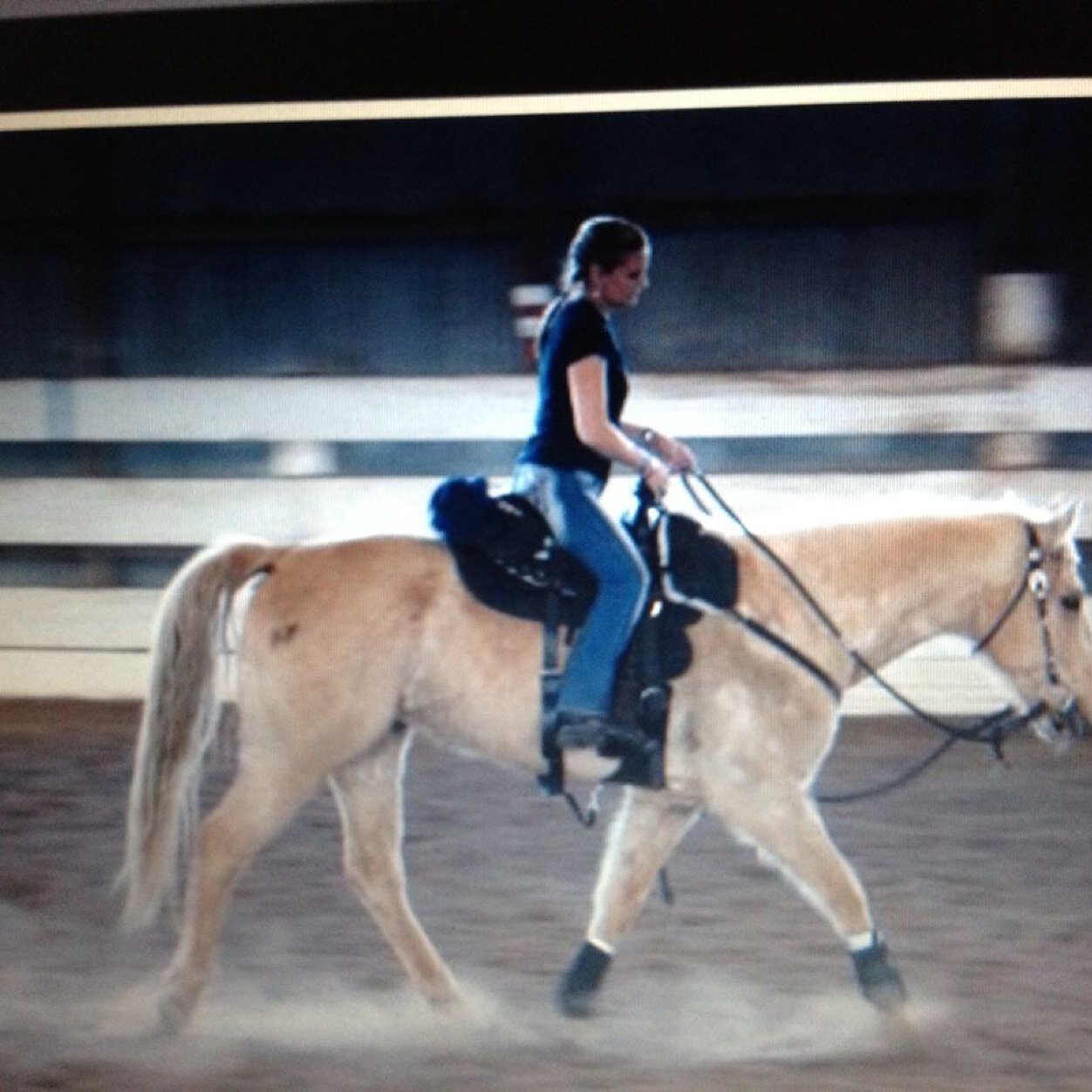 I live in CA I love working with horses and riding with friends Love being outdoors enjoying life. Love standup comedy, love to laugh, love family