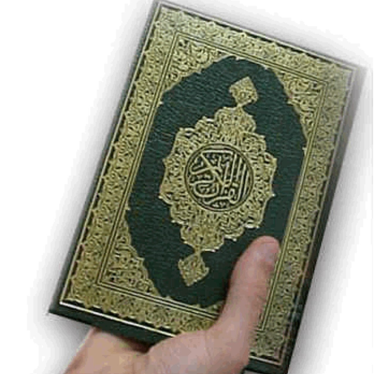 أستاذة قرآن،مجازة في القرآن بالقراءات العشر .
قضيت مدة من الزمن لأستخرج المتشابهات والربط بينها، وبدأت تدوينها لحاجة حفظة كتاب الله إليها . تجدونها  في مفضلتي