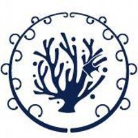 rafting (@rafting) 's Twitter Profile