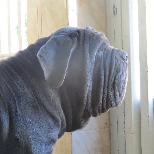 patr20001's profile picture. 