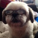 Michelle blevins - @BlevinsMkfranny - Twitter