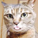まい (@11mai02) Twitter