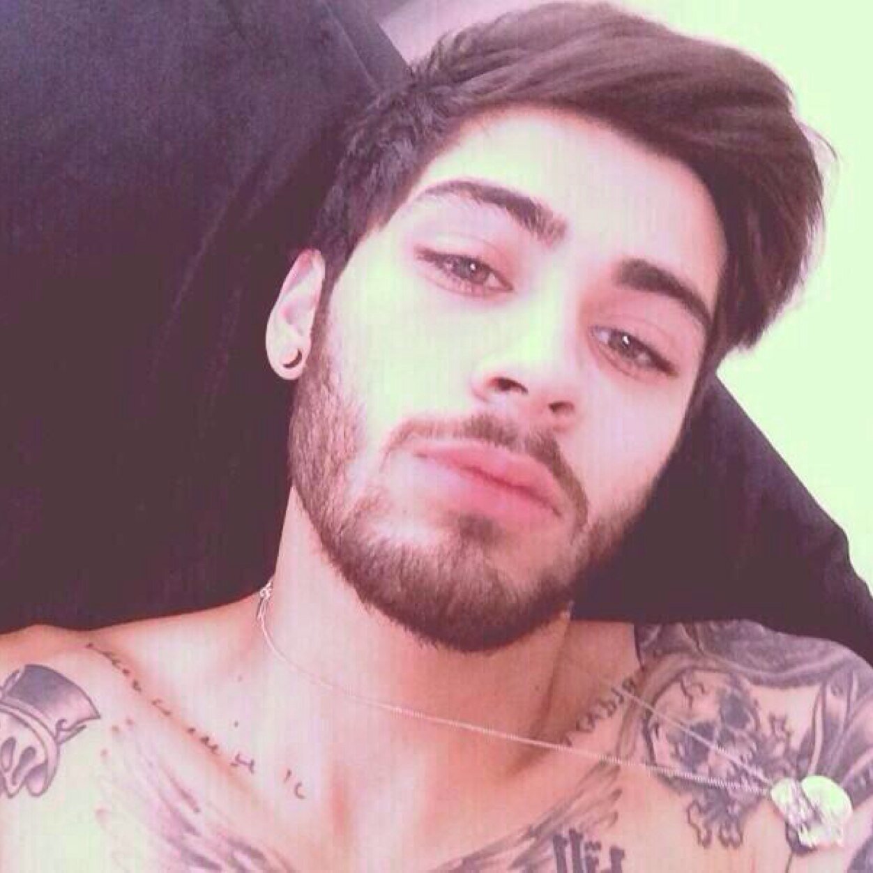 poohbearziall's profile picture. 