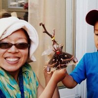 Lynn Lau (@lynnlauwrites) 's Twitter Profile