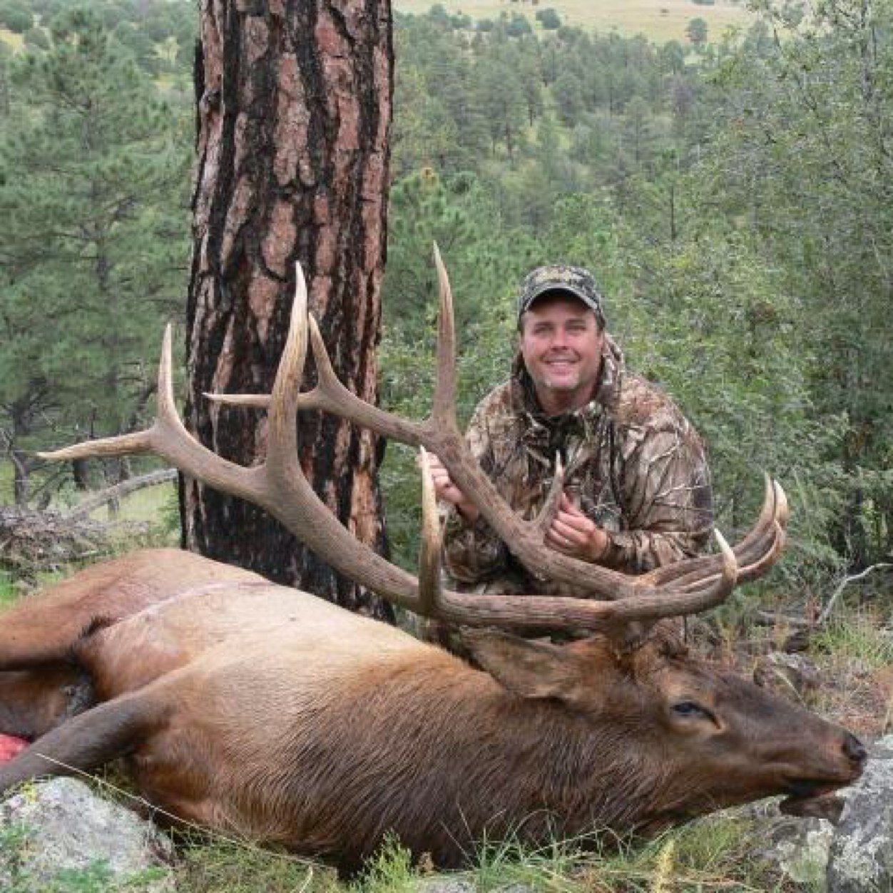 kjwerts's profile picture. 