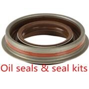 Oil Seal & Seal Kits