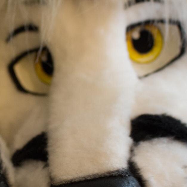 bowler, fursuiter, car nut, tech nerd, gamer and all around fun seeker! PMs ok! NERD ALERT! | marble fox | m   Telegram: cizkaro