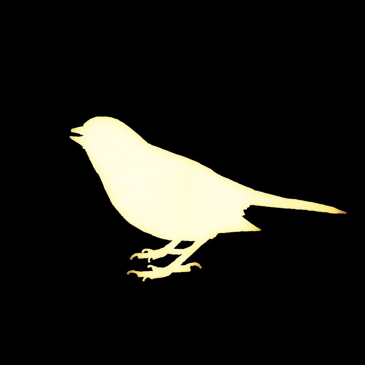 welcome to the blonde sparrow Twitter page