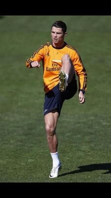 AdrianFileman's profile picture. Tarakanita 2