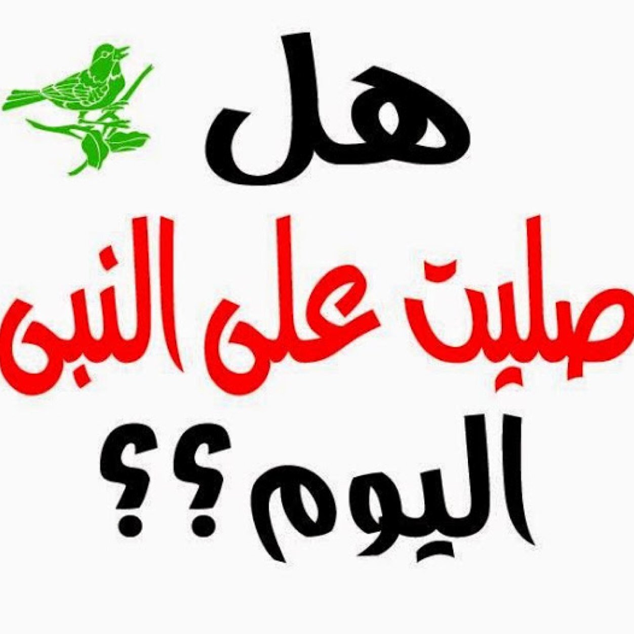 aloo_zady's profile picture. 