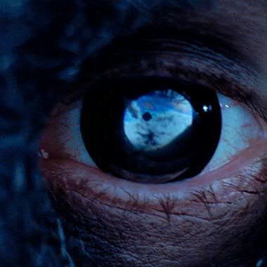 THUNDERDOME15's profile picture. 