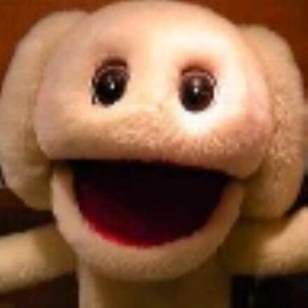 HOcTTEST_JAvCK's profile picture. Michaelです3匹のと住んでいす。