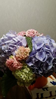 MissETchr's profile picture. 