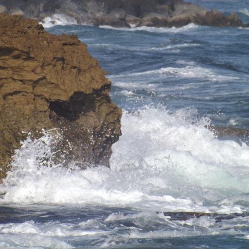 OlivierAnn's profile picture. 