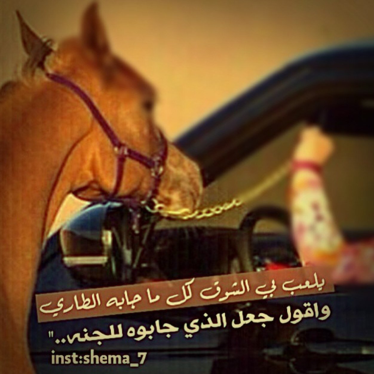 Al_zee22n's profile picture. 