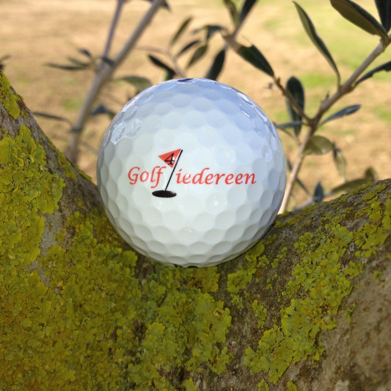 Anneke Soonius is de Golfpro van Golf4iedereen Academy wij geven les op Golfclub 't Lohr in  Voorst en op golfbaan Het Wedde in Voorschoten https://t.co/7ObGHEfZRc