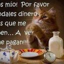 diana flor saavedra  - @15Calientes - Twitter