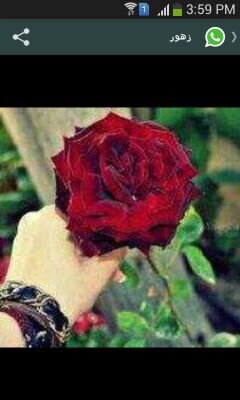 dhjcvjjc's profile picture. 