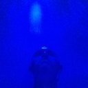 El_Mono_Tellez's profile picture. M.E.C ❣ True Love isnt for a second, but for all Eternity.