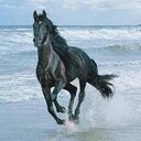 Norma Duarte - @nduar773 - Twitter