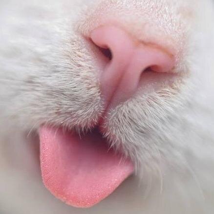 Mastertata11's profile picture. ณ อาณาจักรอันไกลโพ้น มีกูนอนอยู่ จบ.