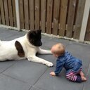 royvshimself's profile picture. 