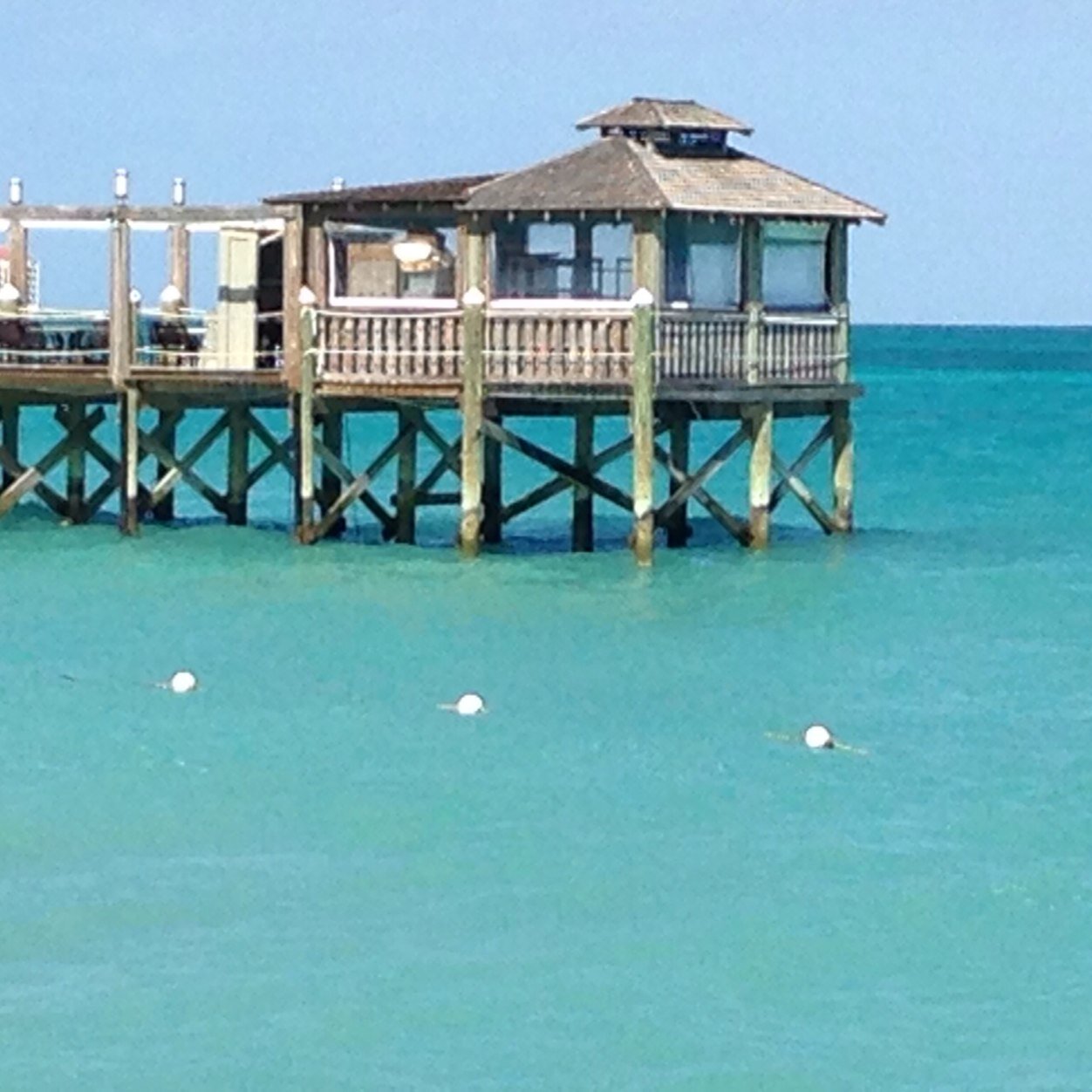 jeannarene14's profile picture. 