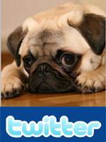 dogscentral's profile picture. Dog Central...Dog Informations, Dog Photographs...And Much More...