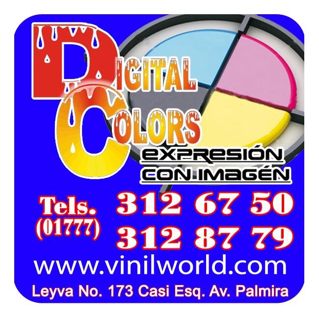 VinilWorld's profile picture. 