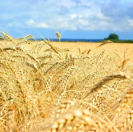 Карта Украины с адресами и компаниями.