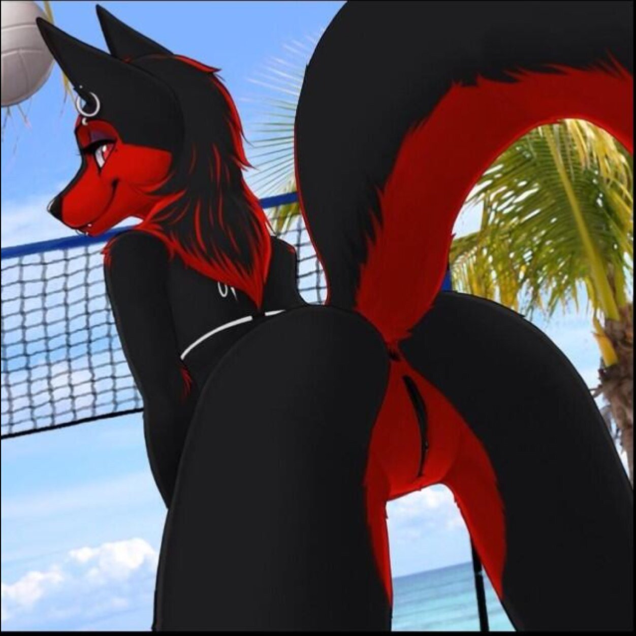 Hey i am zoe am single and i love to strip and give free blowjobs to follow 17 or older i have a owner she is @subfurrybitch
