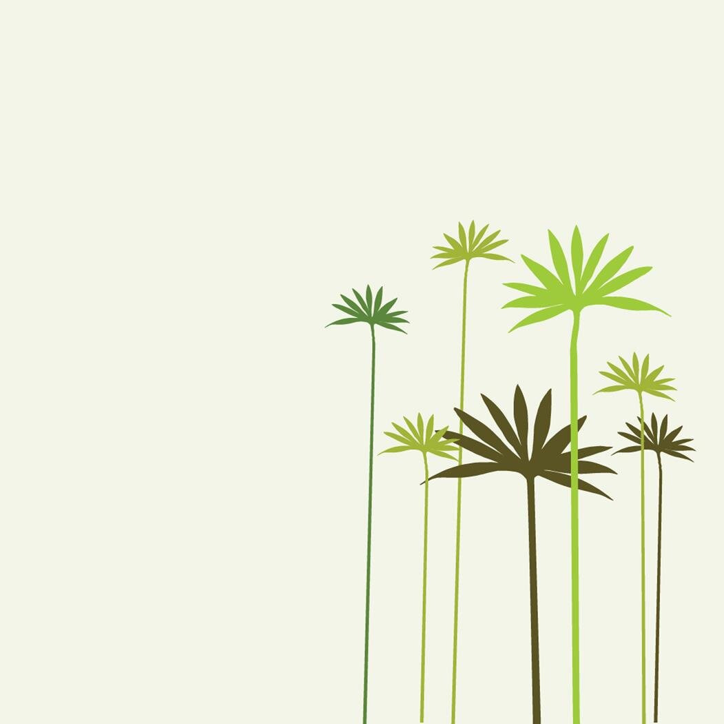 lmarsha3's profile picture. 