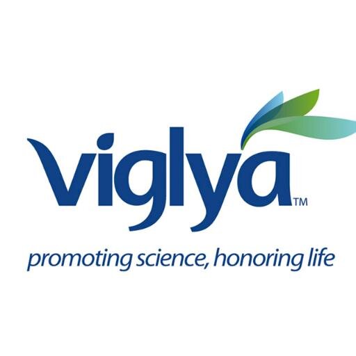 Viglya