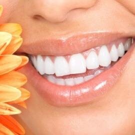 greatsmiles48's profile picture. Where Great Smiles Are Created !