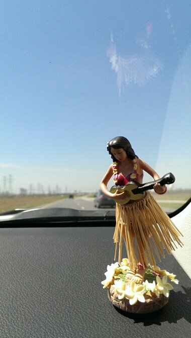 connectaru's profile picture. 