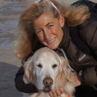 LindaLindquistBishop (@l2bthink) 's Twitter Profile