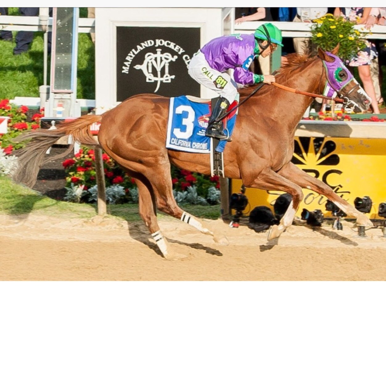 bobnolan313's profile picture. Future potato farmer, Fantasy football champ