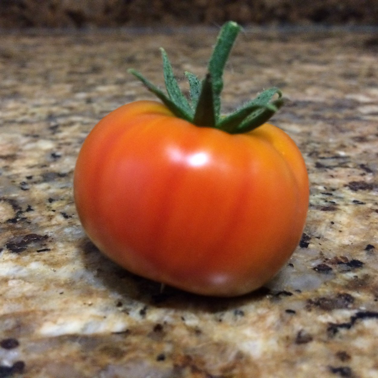 osorioana74's profile picture. 