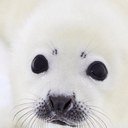 Sandra Groth - @sankcr257 - Twitter