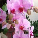 LourdesSotoCarr's profile picture. Knitter, lawyer, thinker. Loves freedom and the good life. Hates imperialism, colonialism, corrupt, hypocrisy and racism. RT do not always represent my opinion.