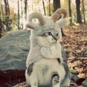 #CATSQUAD