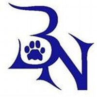 BNHS_Swim&Dive (@coachswanberg) 's Twitter Profile Photo