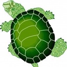 2FASTURTLE's profile picture. 