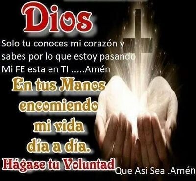 Ilsamar22's profile picture. 